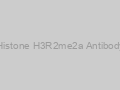 Histone H3R2me2a Antibody